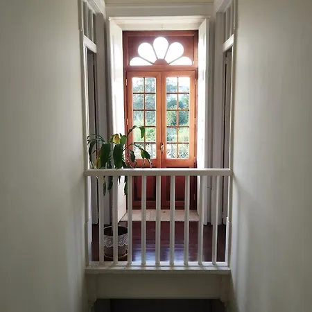 Casa Dos Livros - *