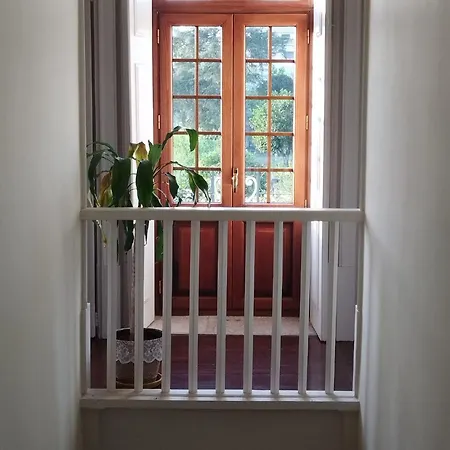 Casa Dos Livros - Vila Nova de Tazem